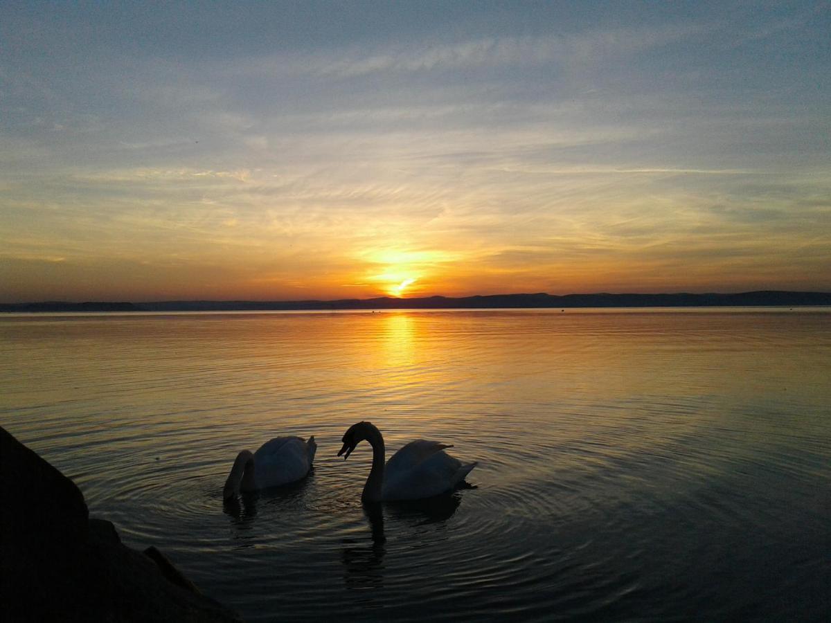 Balaton Wellness Apartman Сиофок Екстериор снимка